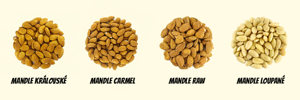 Druhy mandlí