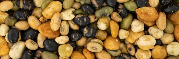 Pražené luštěniny solené