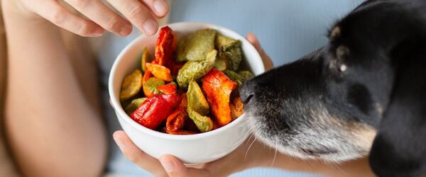 Zeleninové chipsy paprikové