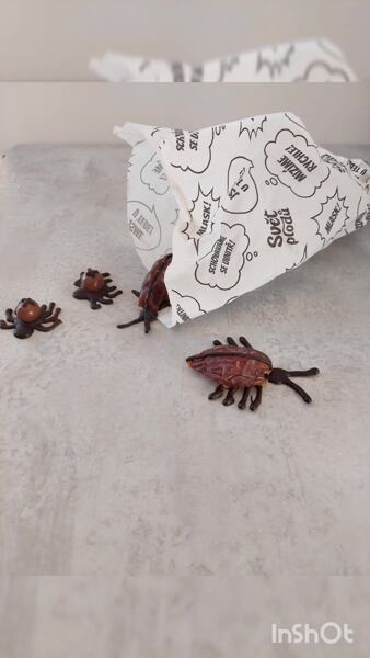 halloweenská havěť