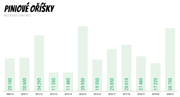 Světová produkce piniových oříšků