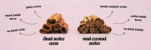 druhy skořice