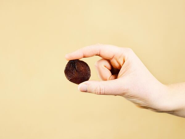 nesířené meruňky