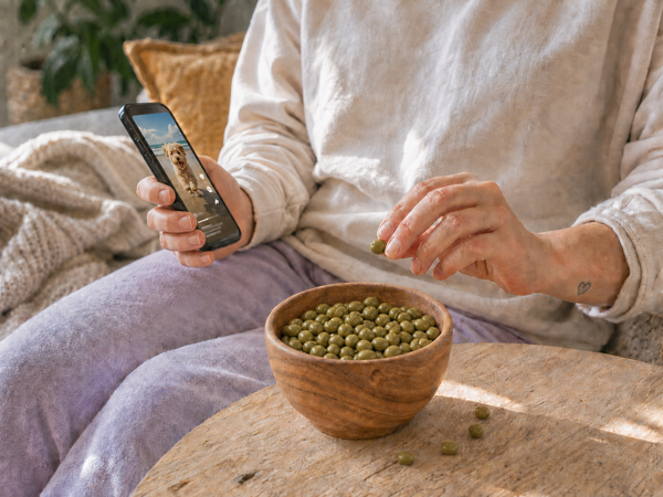 Pražené solené edamame v misce jako křupavý snack k filmu 