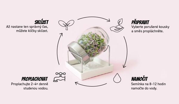 Návod na klíčení semínek