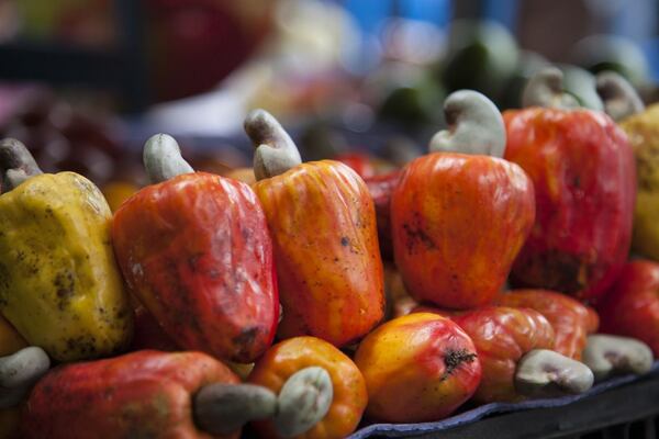 Kešu jablíčka plody kešu