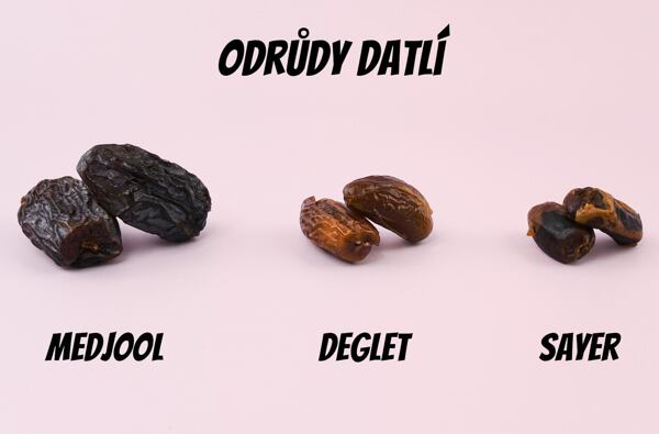 Druhy datlí