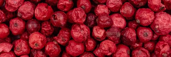 Mrazem sušený rybíz