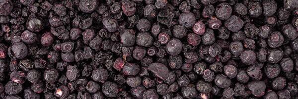 Mrazem sušené borůvky