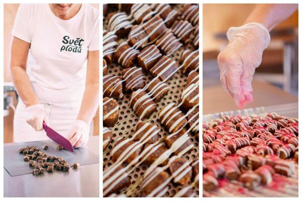 Tyčinky Svět plodů