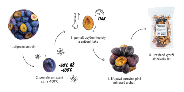 Infografika: Jak probíhá lyofilizace potravin