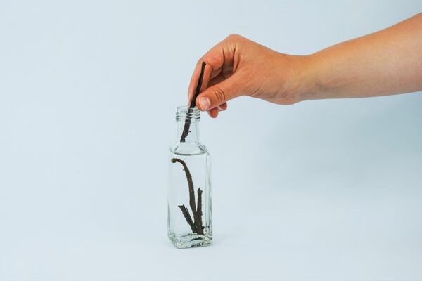 Domácí vanilkový extrakt