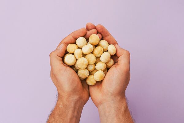 Makadamie zajímavosti